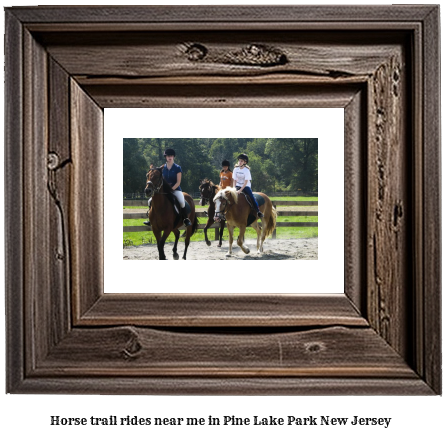 horse trail rides near me in Pine Lake Park, New Jersey